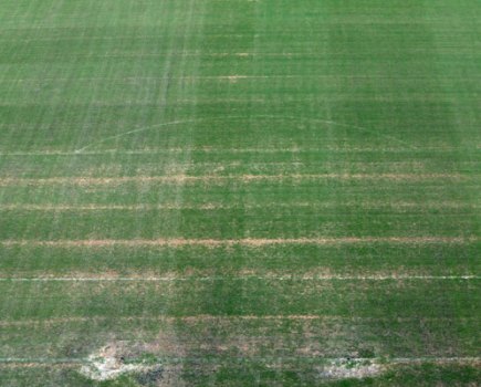 Manaus pitch