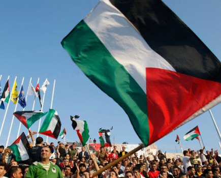 Palestine fans