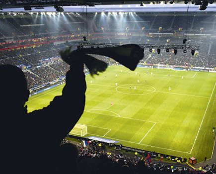 Lyon Parc Olympique Lyonnais