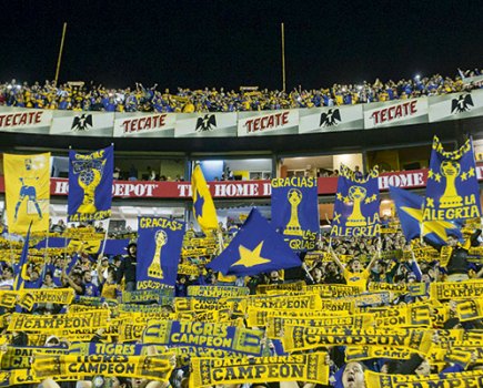 Tigres fans