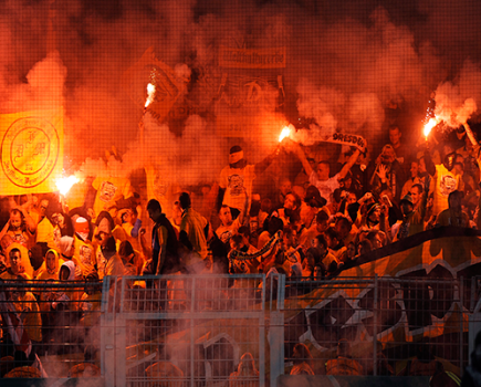 Dynamo Dresden fans
