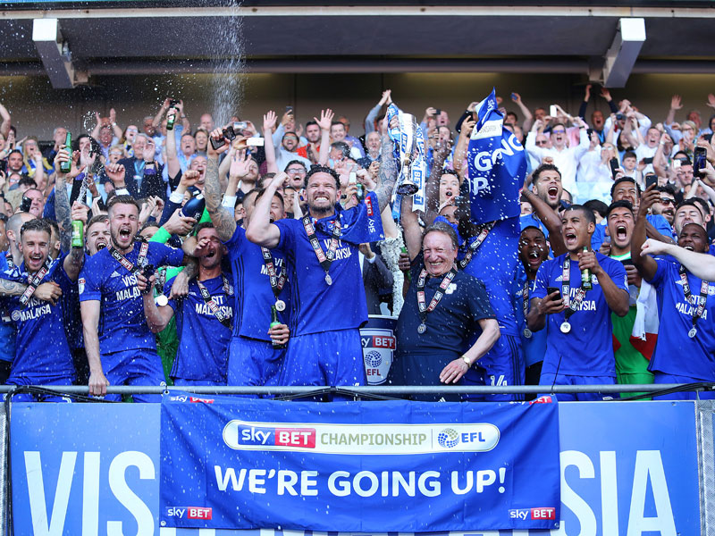 Cardiff City EPL Team 2013  English Premier League Team